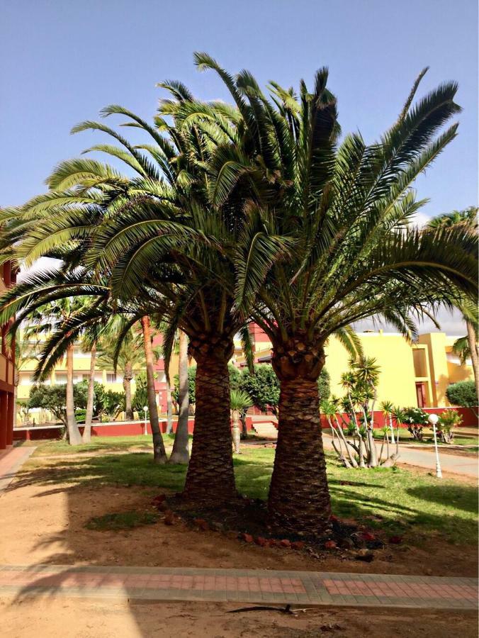 Fuerteventura - La Caleta, Parques Holandes Apartment Ла Олива Екстериор снимка